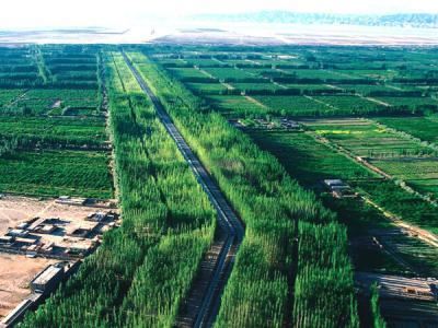 阿克苏四大绿化工程：柯柯牙，阿克苏河，渭干河，空台里克绿化工程