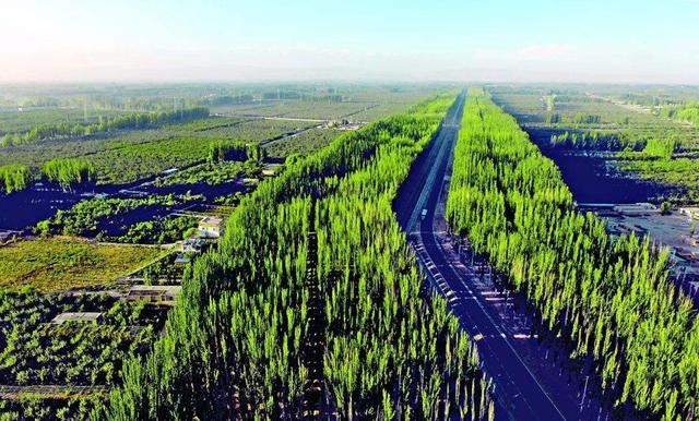 阿克苏四大绿化工程：柯柯牙，阿克苏河，渭干河，空台里克绿化工程