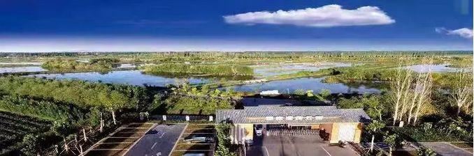 阿克苏四大绿化工程：柯柯牙，阿克苏河，渭干河，空台里克绿化工程