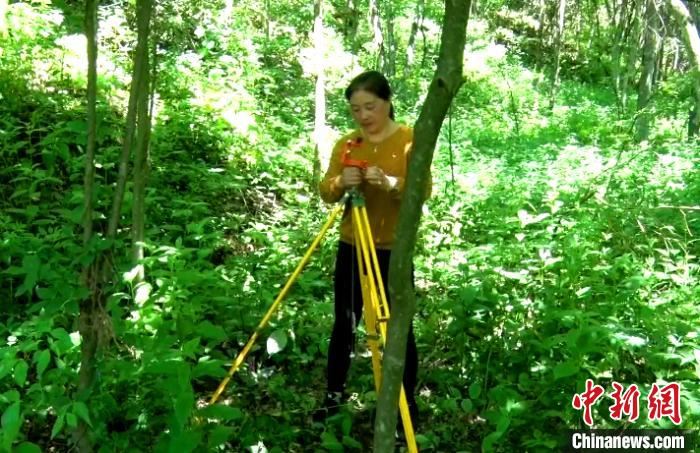 [最美林业故事]湖北五峰女护林员扎根高山25载守护绿水青山