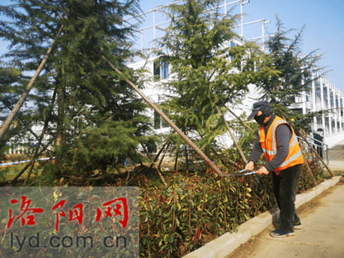 洛阳市医疗应急救治中心绿化工程稳步推进