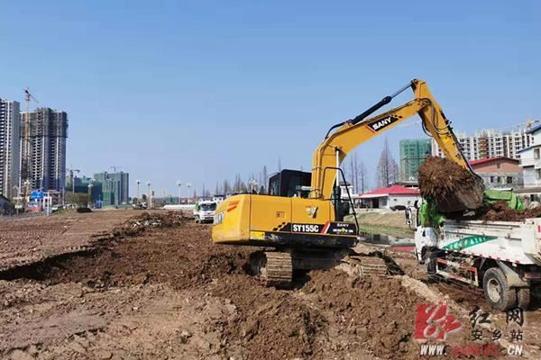 安乡县林业局：防疫绿化“两手抓两不误”