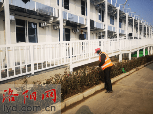 洛阳市医疗应急救治中心绿化工程稳步推进