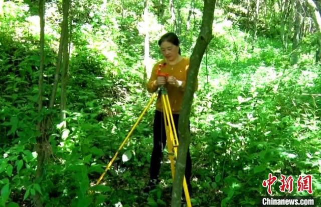 湖北五峰女护林员扎根高山25载守护绿水青山