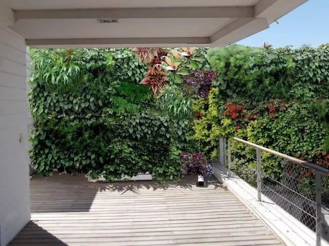 庭院不够“绿”，垂直绿化来帮忙！100款庭院设计分享