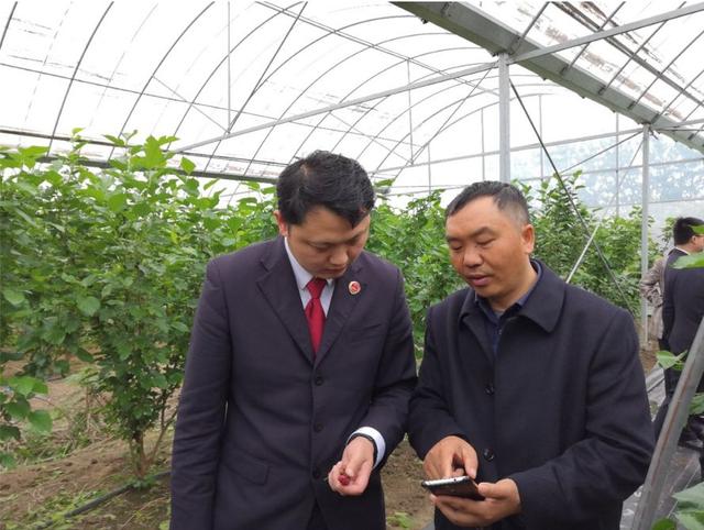【人大代表风采】刘卉：践行绿色发展理念，富而思源惠民生