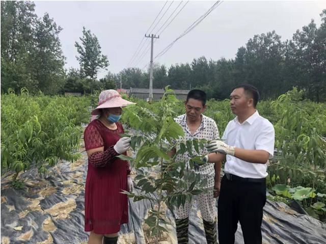【人大代表风采】刘卉：践行绿色发展理念，富而思源惠民生