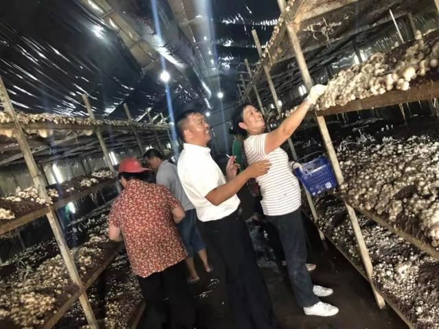 【人大代表风采】刘卉：践行绿色发展理念，富而思源惠民生