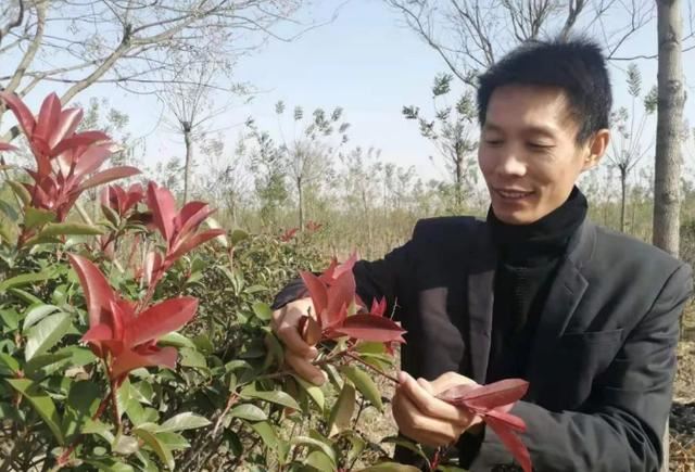 河间“树痴”郭虎通：“不吃饭行，不种树不行！”