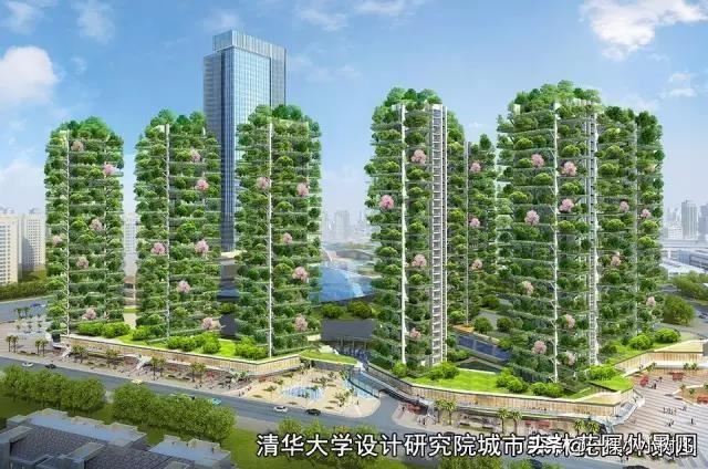 2020苗木人的5项减损通路和7条营销路径，科普分享做好新苗木营销