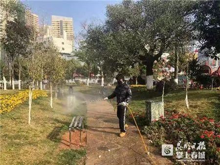 昆明主城区城市道路绿化、公共绿地全面完成消毒杀菌