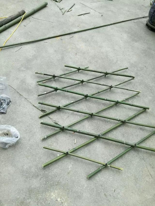 “穷人”专属养花法，他用三天时间，把废墟搞成复古小花园