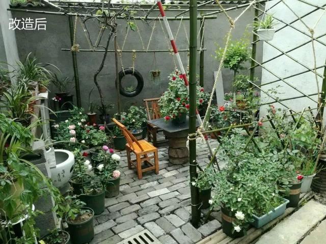 “穷人”专属养花法，他用三天时间，把废墟搞成复古小花园