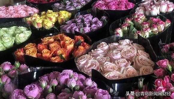 百万支鲜花被销毁 这个情人节云南花农平均亏过万