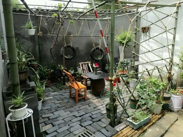 “穷人”专属养花法，他用三天时间，把废墟搞成复古小花园