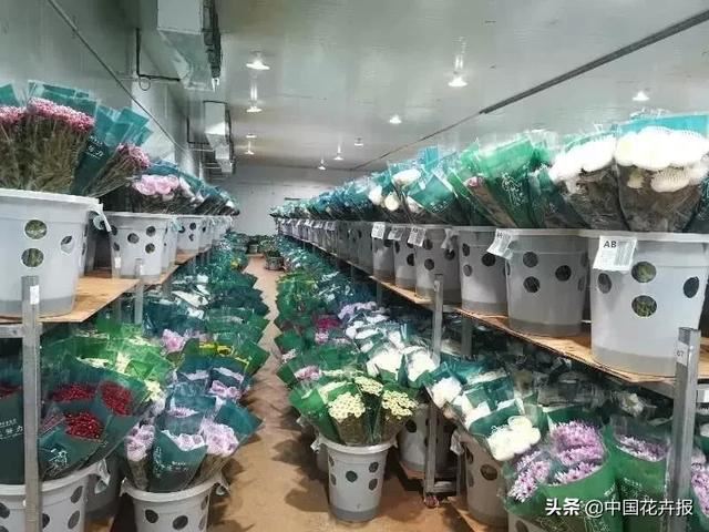 谁说情人节没有鲜花？请签收我为您种下的这片花海
