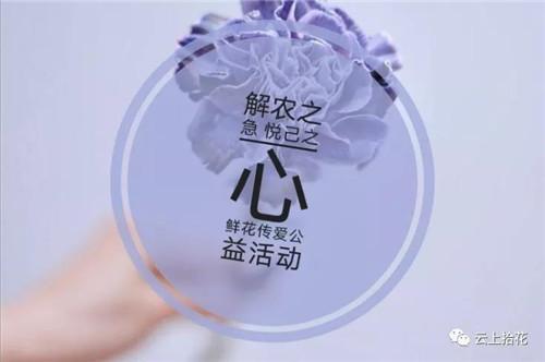 鲜花烂在地里太可惜！昆明呼吁年轻人助农“云”送花