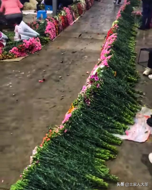 情人节到来，今年种鲜花的花农受疫情影响对他们打击也不小