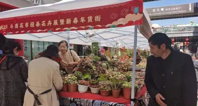  疫情下的情人节：鲜花无人问津拿来喂牛，一天百万枝玫瑰被销毁