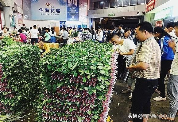 百万支鲜花被销毁 这个情人节云南花农平均亏过万