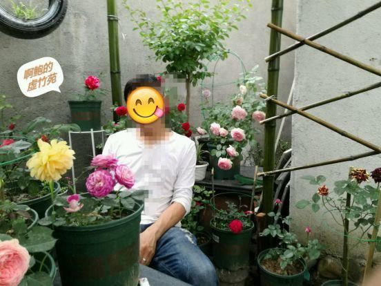 “穷人”专属养花法，他用三天时间，把废墟搞成复古小花园