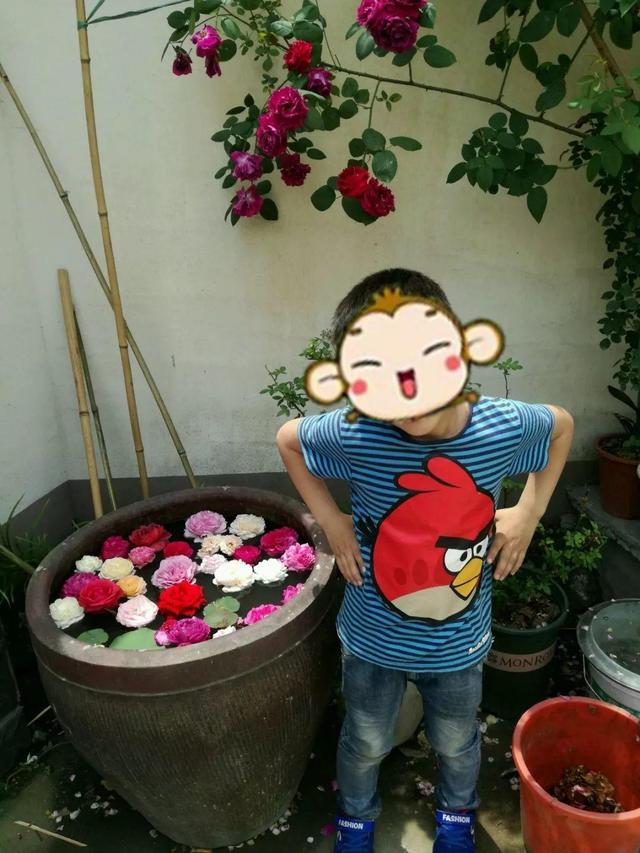 “穷人”专属养花法，他用三天时间，把废墟搞成复古小花园