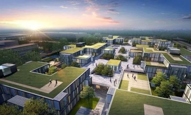 在国家战略下看2020-2035年的苗木走势