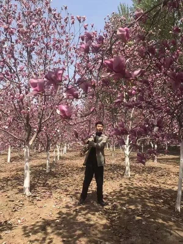 河间“树痴”郭虎通：“不吃饭行，不种树不行！”