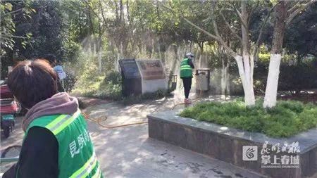 昆明主城区城市道路绿化、公共绿地全面完成消毒杀菌