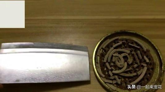 养花容易招虫子，学会这招，简单实用，养啥都旺盛