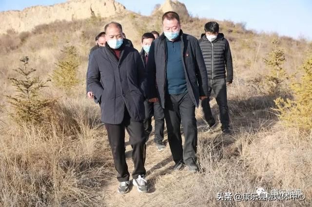 吴国峻调研春季绿化工作