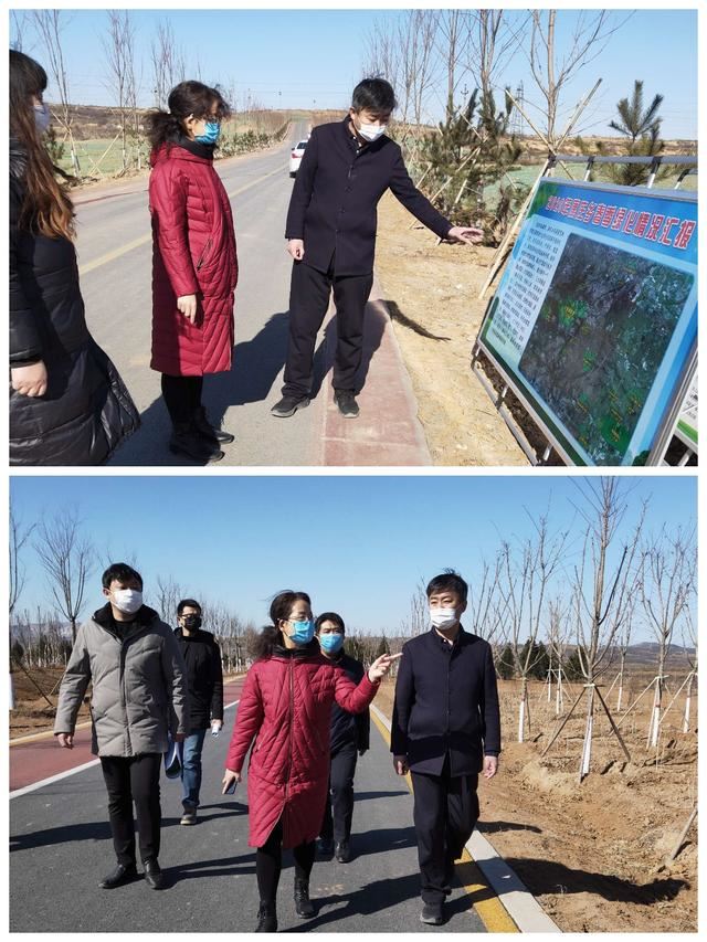 邯郸市复兴区抓防疫，督绿化——丽英部长在行动！