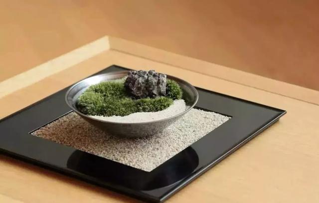 苔藓也可以养的这么美