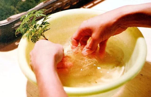 苔藓新玩法，无需花盆，制作完成后摆放在器皿上观赏