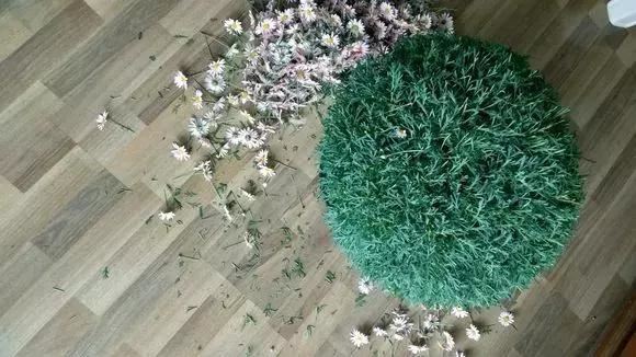 喜欢养花？记得选3个品种，剪一茬开一茬，枝头都是花苞