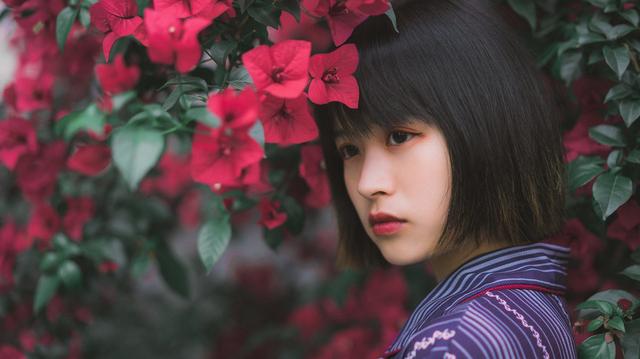 仅需4点的三角梅爆花攻略来啦~让三角梅花开不断的方法