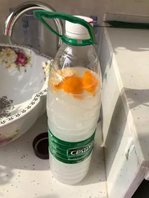淘米水浇花烂根？直接浇盆里“大错特错”，提前做“2步”最好