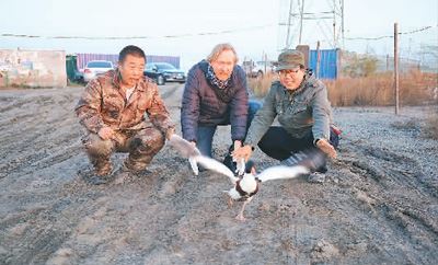 [最美林业故事]“湿地卫士”在行动