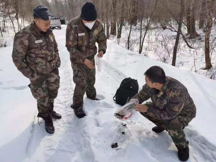 吉林黄泥河防疫过程中发现野生东北虎