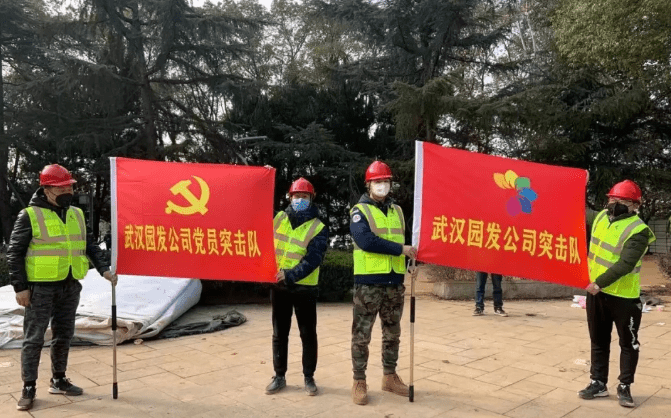 园林“逆行者”上线！24小时内将完成火神山医院绿化