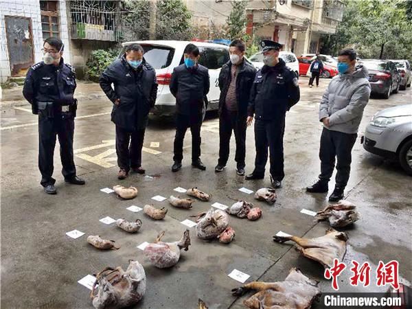 贵州：依法从重从严从快打击涉野生动物的违法犯罪行为