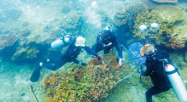 海南：精心呵护青山绿水、碧海蓝天这个最大本钱