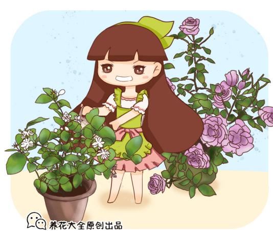 开春暖和后，给这6种花埋点大补肥，叶子肥厚开花旺