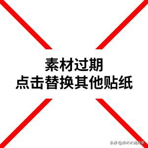20款蓝紫色月季多图鉴赏，它们的名字都叫薰衣草，盆栽地栽都适合