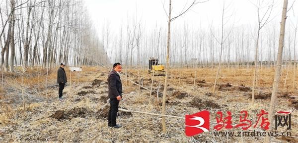 西平县盆尧镇：干群新春植树忙 防疫“绿化”两不误