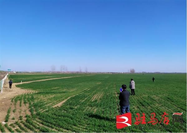 上蔡县小岳寺乡：疫情防控和国土绿化统筹推进