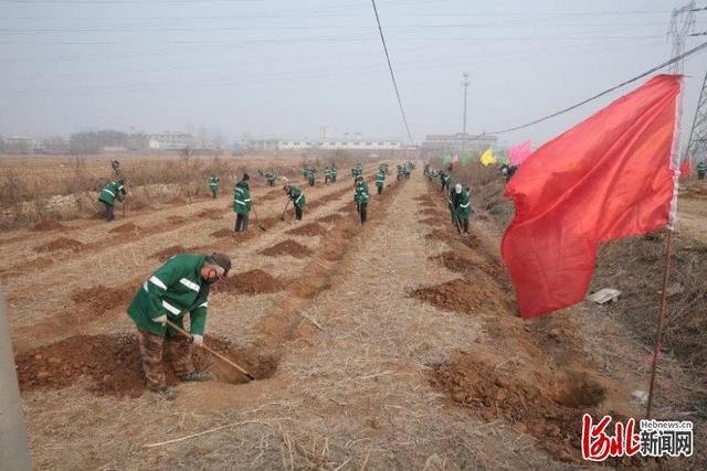 力争年内植树13万株！河北邢台春季绿化工作正式启动