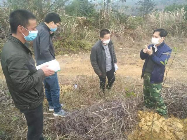 新罗区林业局 战“疫”中守防线、增绿线两不误