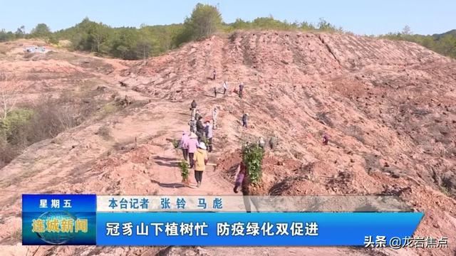 「众志成城 抗击疫情」冠豸山下植树忙 防疫绿化双促进