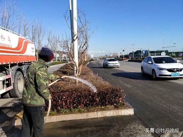 精细养护，推动城区园林绿化面貌再美化